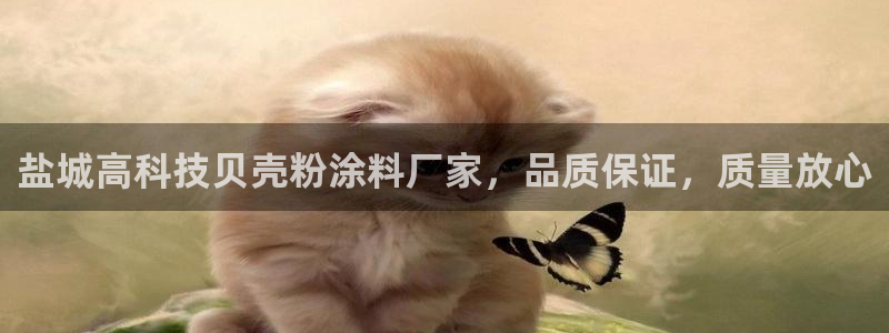 ayx爱游戏全站app官网入口