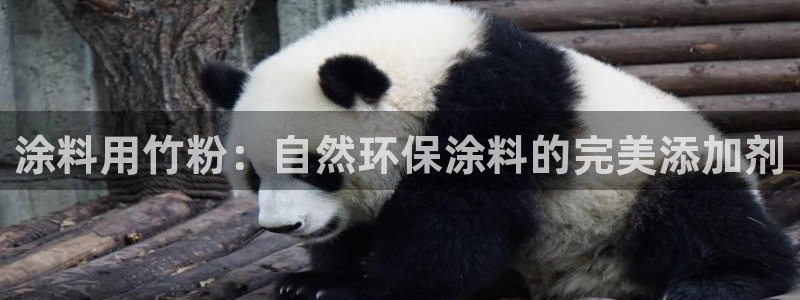 爱游戏百家平台app
