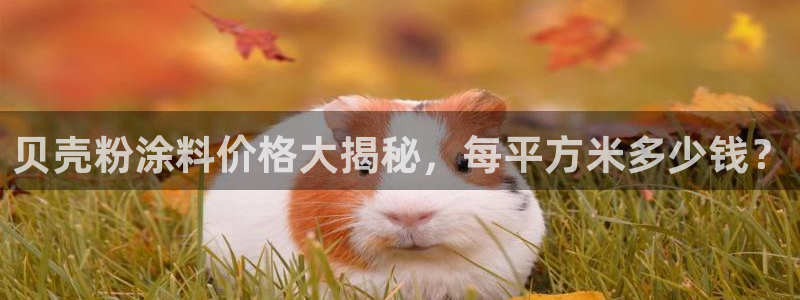 爱游戏官方app平台