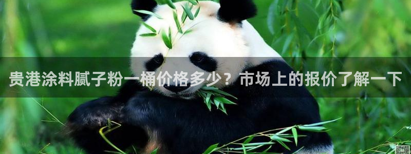 爱游戏棋牌官网