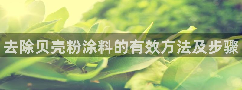 ayx爱游戏app下载官网