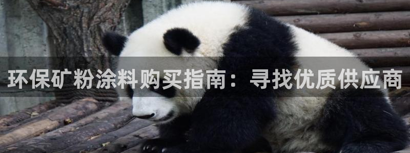 爱游戏百家平台app：环保矿粉涂料购买指
