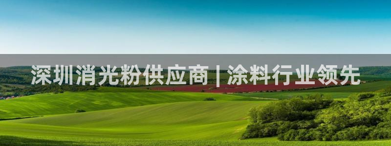 爱游戏app官网有实力05：深圳消光粉供