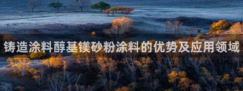 爱游戏平台信誉好18：铸造涂料醇基镁砂粉