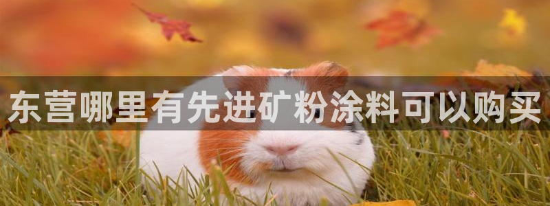 爱游戏电子竞技平台官网首页：东营哪里有先