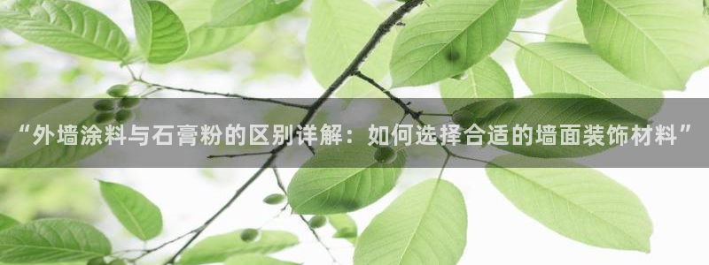 爱游戏百家网站官网