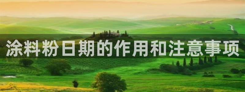爱游戏app官网有实力04