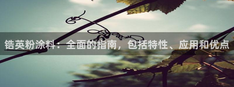 爱游戏app官方入口最新版