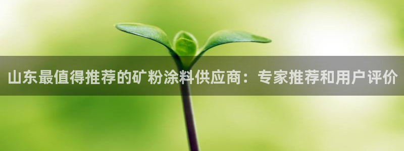 爱游戏平台有哪些游戏：山东最值得推荐的矿