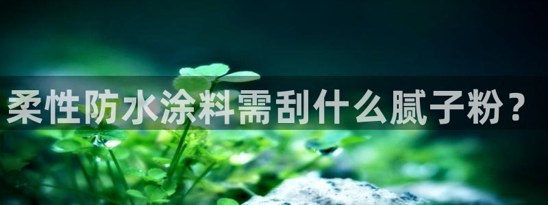 爱游戏客户端官网