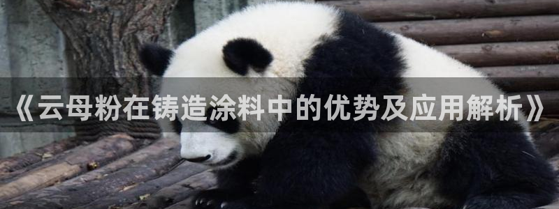 爱游戏娱乐官网信誉好13
