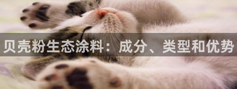 ayx爱游戏官方app平台入口：贝壳粉生