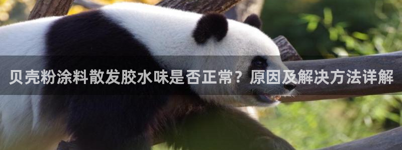 爱游戏官网打开