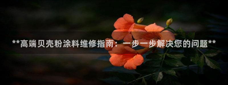 爱游戏app平台官网专业版