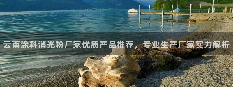 爱游戏平台app官方下载：云南涂料消光粉