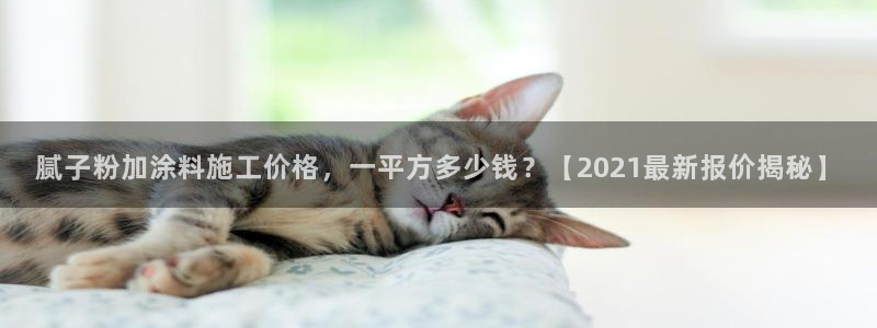 爱游戏电子竞技平台官网：腻子粉加涂料施工