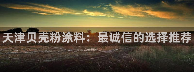 爱游戏全站app官网登录：天津贝壳粉涂料