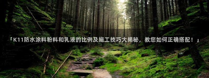 爱游戏app平台：「K11防水涂料粉料和