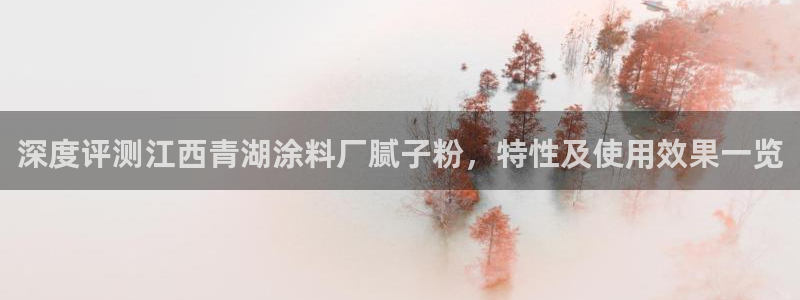 爱游戏平台有哪些：深度评测江西青湖涂料厂