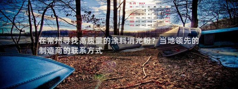 爱游戏平台可靠：在常州寻找高质量的涂料消
