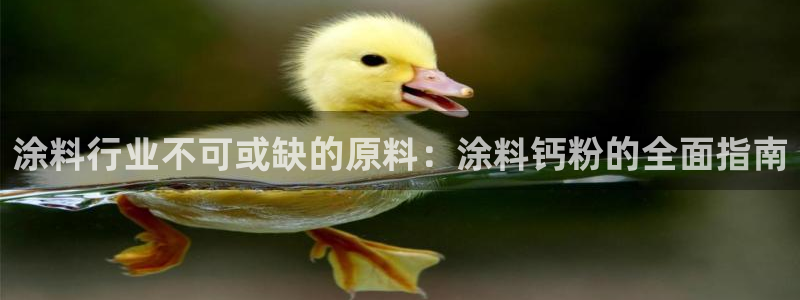 ayx爱游戏官网2020：涂料行业不可或